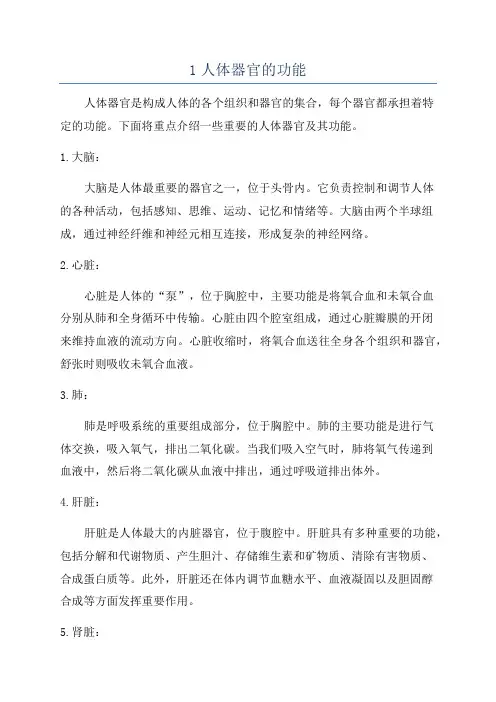 1人体器官的功能