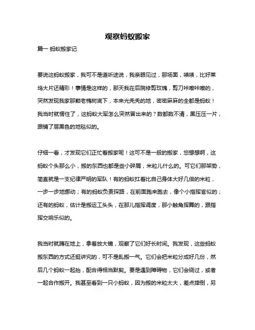 作文《观察蚂蚁搬家》
