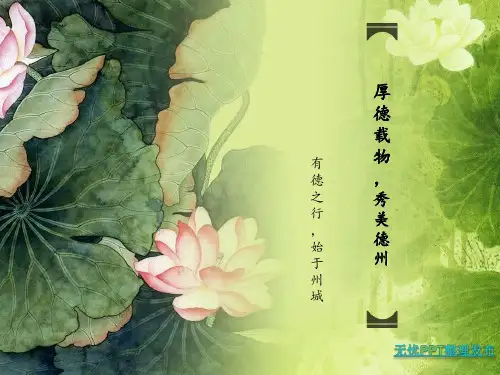 德州市城市规划