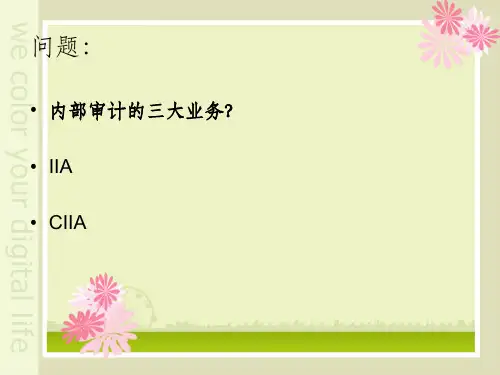 内部控制审计ppt课件