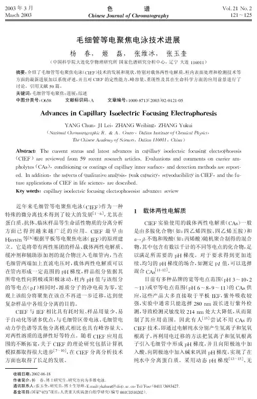 毛细管等电聚焦电泳技术进展.