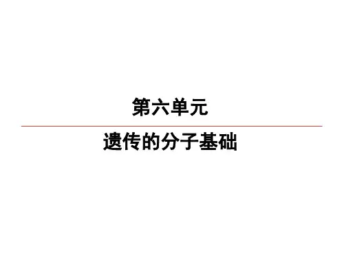 2020高考生物一轮复习课件：第6单元 第3讲 基因的表达