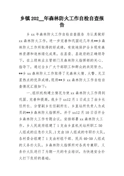 乡镇202__年森林防火工作自检自查报告word