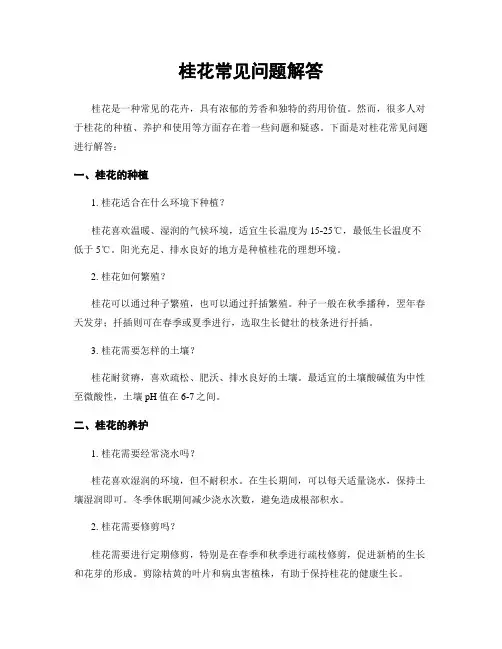 桂花常见问题解答