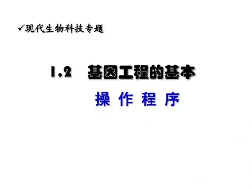 人教版教学课件湖南省安仁一中生物必修三《12基因工程的基本操作程序》课件