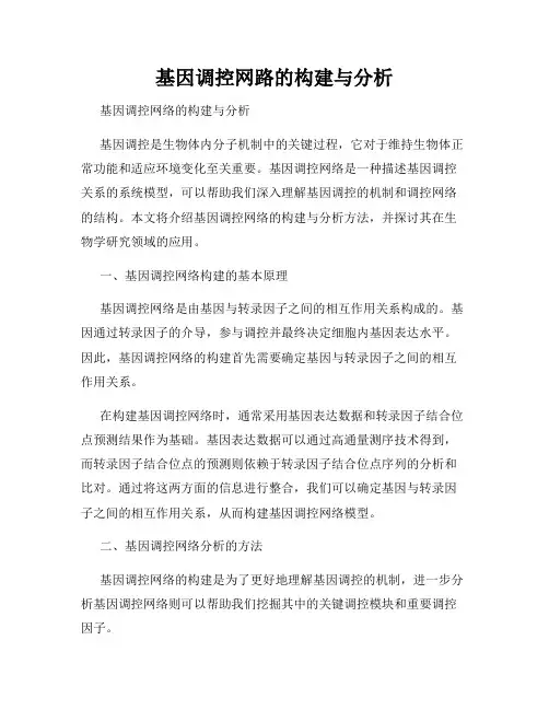 基因调控网路的构建与分析