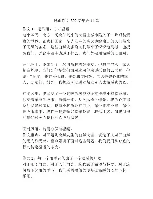 风雨作文800字集合14篇