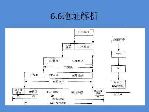 地址解析