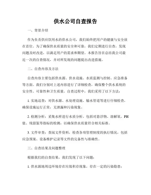供水公司自查报告