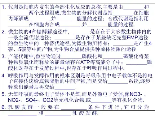 微生物的新陈代谢(2)