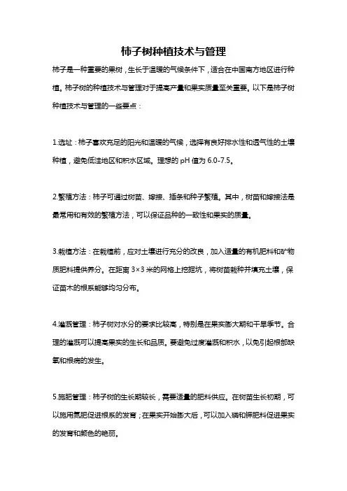 柿子树种植技术与管理