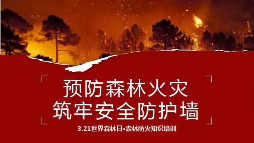 森林防火知识培训预防森林火灾筑牢安全防护墙课件PPT
