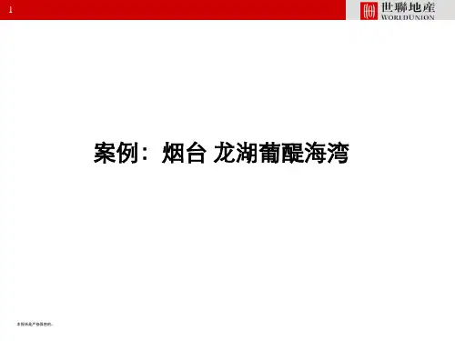 20131119烟台龙湖葡醍海岸案例