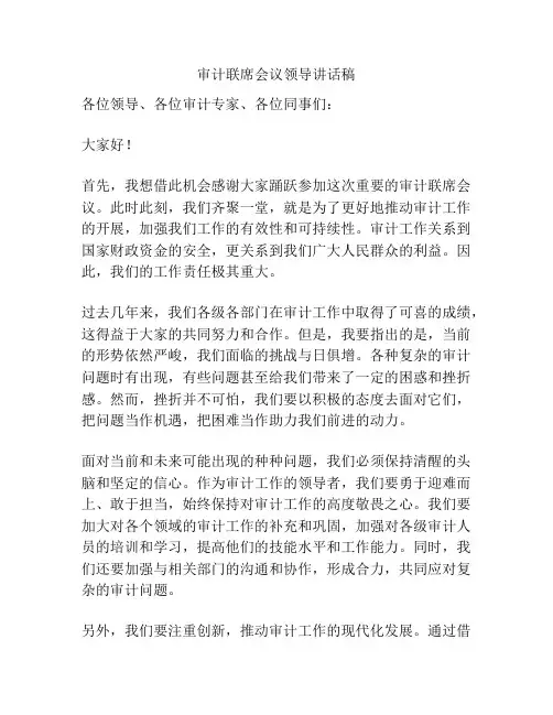 审计联席会议领导讲话稿