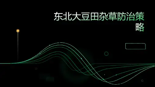 东北大豆田杂草防治策略