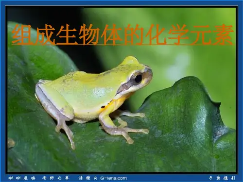 组成生物体的化学元素(1)