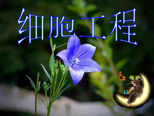 人教版教学课件2.1 植物细胞工程