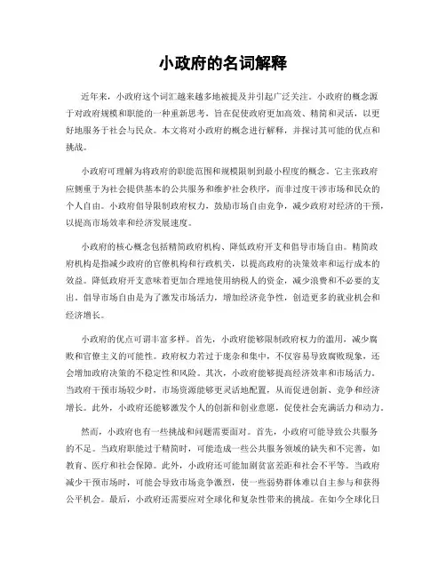 小政府的名词解释