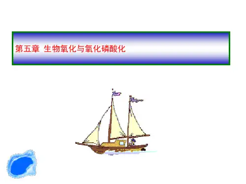 生物氧化公开课获奖课件百校联赛一等奖课件