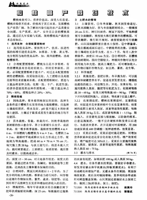 樱桃高产栽培技术