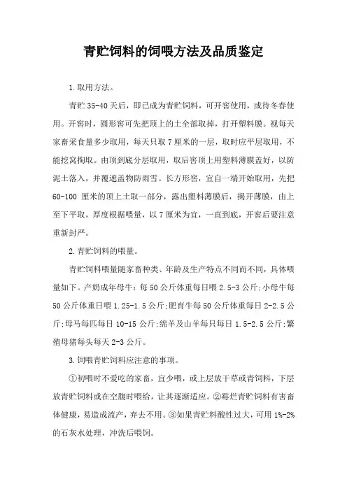 青贮饲料饲喂方法及品质鉴定