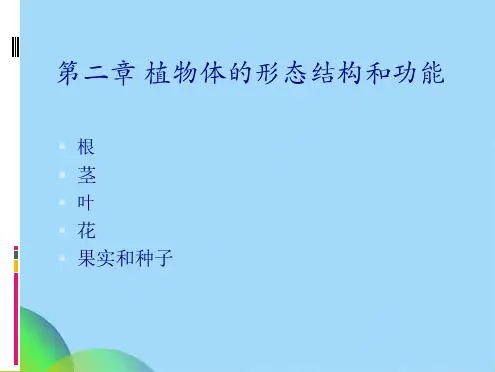 植物体的形态结构和功能ppt(共84张PPT)