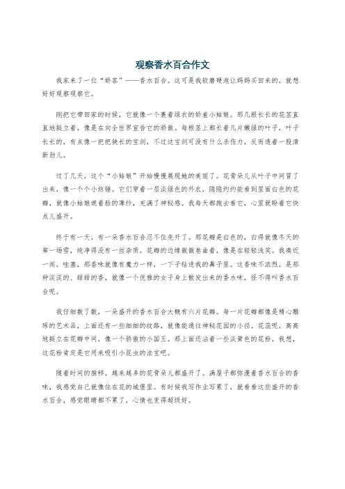 观察香水百合作文