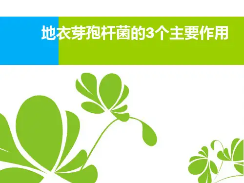 地衣芽孢杆菌的3个主要作用