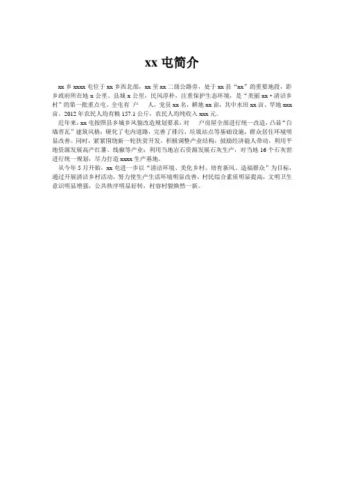 某村简介