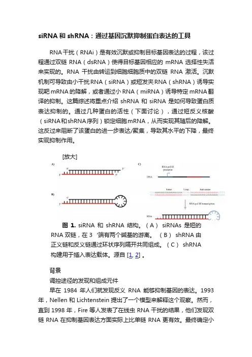 siRNA和shRNA:通过基因沉默抑制蛋白表达的工具