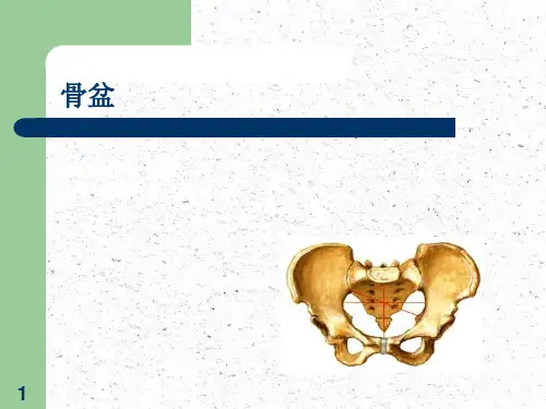关节松动手法胸腰骨盆