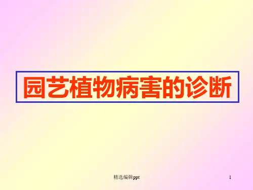 园艺植物病害的诊断ppt课件