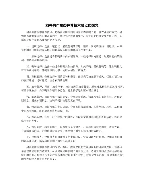 稻鸭共作生态种养技术要点的探究