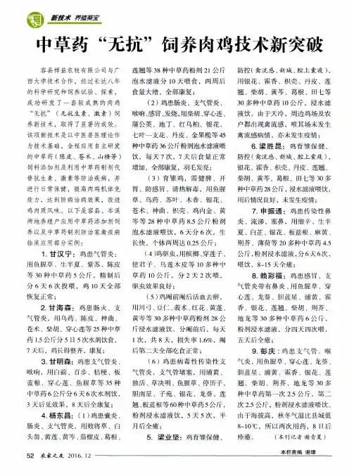 中草药“无抗”饲养肉鸡技术新突破