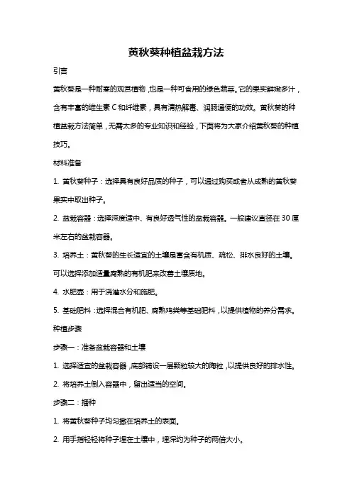 黄秋葵种植盆栽方法