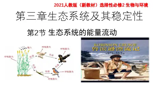 3-2生态系统的能量流动-高二上学期生物人教版选择性必修2