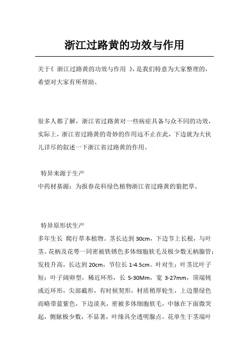浙江过路黄的功效与作用