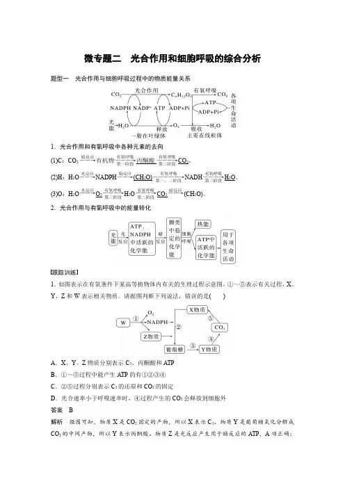 2024届高考一轮复习生物教案(苏教版)：光合作用和细胞呼吸的综合分析