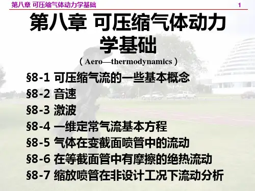 第八章 可压缩气体动力学基础
