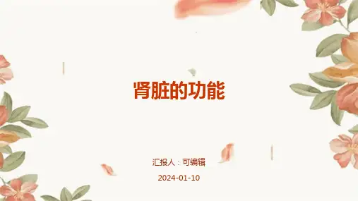 肾脏的功能LIUTBFFF