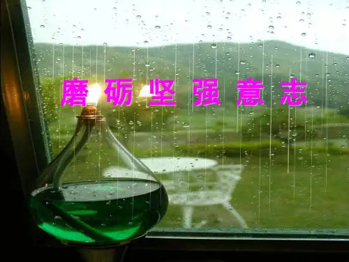 “磨砺坚强意志我成功”班会