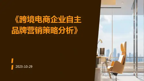 跨境电商企业自主品牌营销策略分析