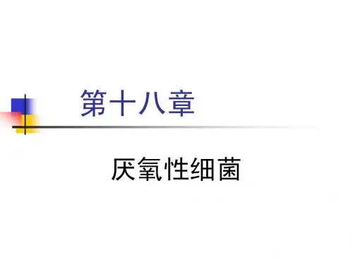 厌氧性细菌