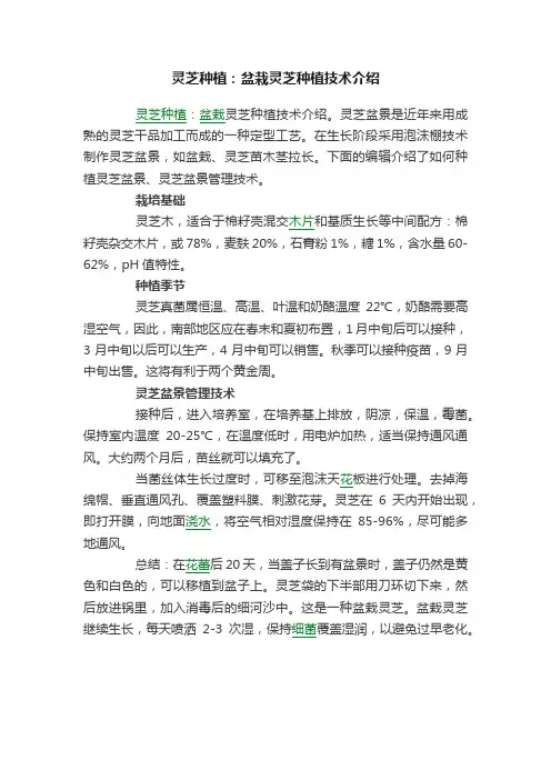 灵芝种植：盆栽灵芝种植技术介绍