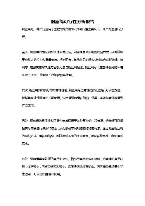 钢丝绳可行性分析报告