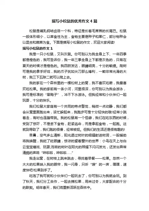 描写小松鼠的优秀作文4篇