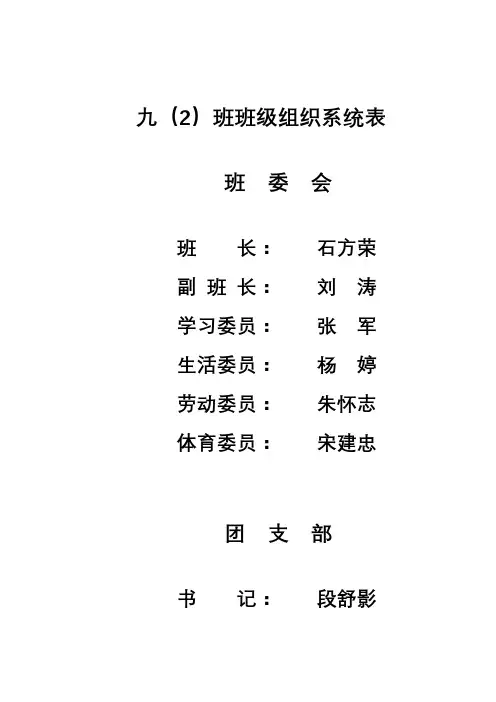 班级各种表格