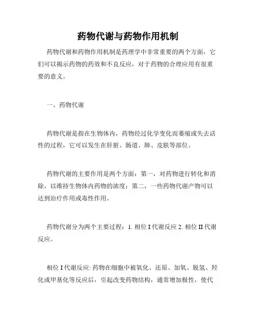 药物代谢与药物作用机制
