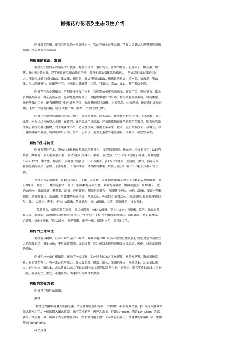 刺槐花的花语及生态习性介绍