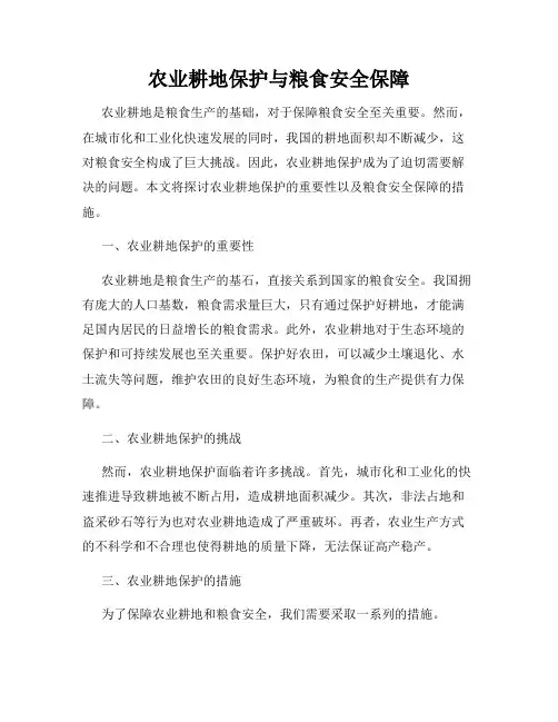 农业耕地保护与粮食安全保障